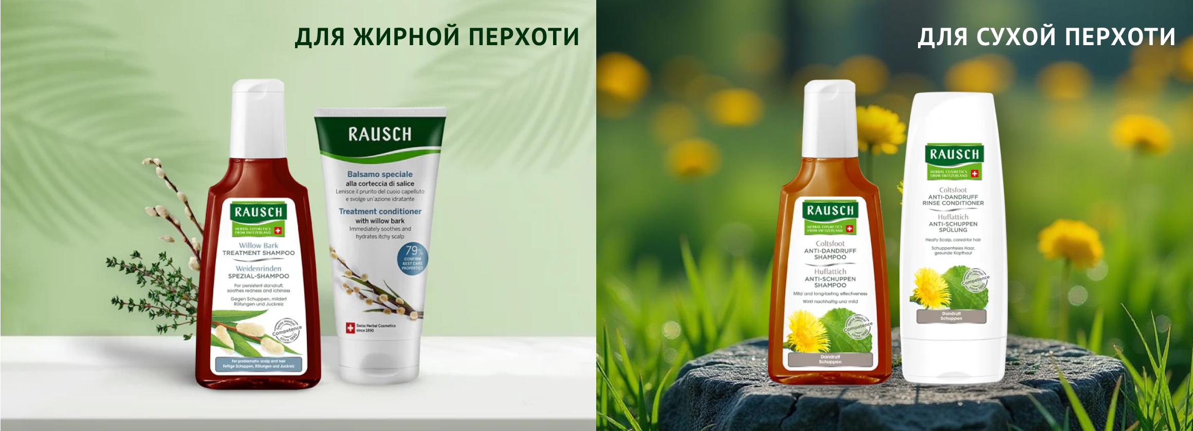 Виды перхоти – жирная и сухая