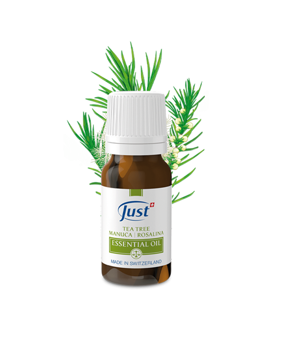 Tea Tree Essential Oil