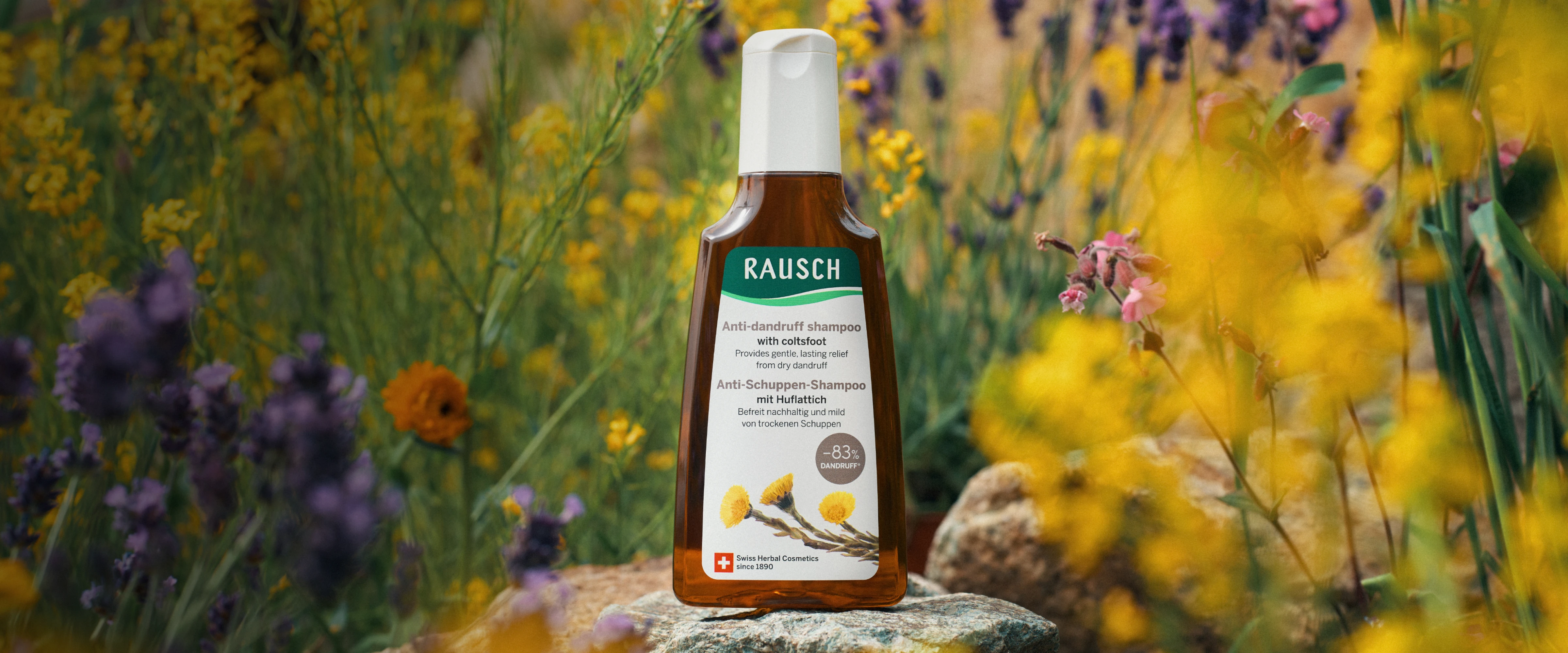 Rausch Anti-Dandruff с  мать-и-мачехой заботится о вашей коже головы каждый день